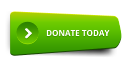 green donate clear buttons